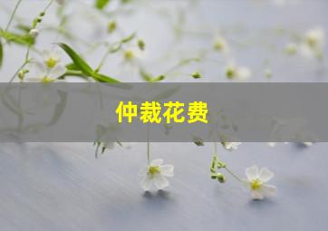 仲裁花费