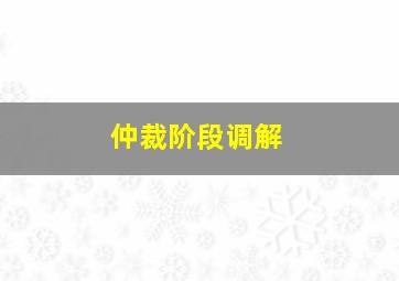 仲裁阶段调解