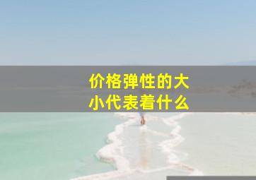 价格弹性的大小代表着什么