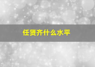 任贤齐什么水平