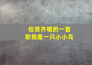 任贤齐唱的一首歌我是一只小小鸟