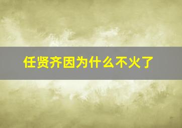 任贤齐因为什么不火了