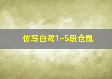 仿写白鹭1~5段仓鼠