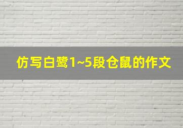 仿写白鹭1~5段仓鼠的作文