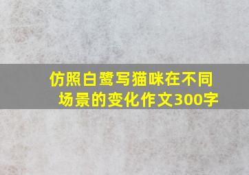 仿照白鹭写猫咪在不同场景的变化作文300字