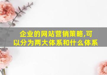 企业的网站营销策略,可以分为两大体系和什么体系