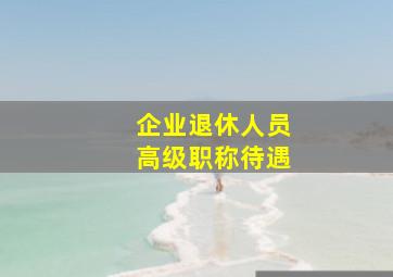 企业退休人员高级职称待遇