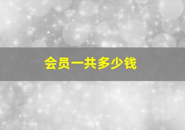 会员一共多少钱