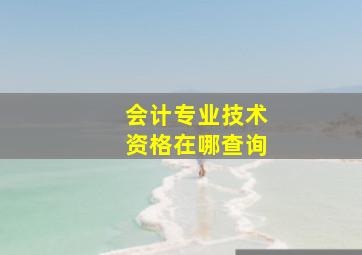 会计专业技术资格在哪查询