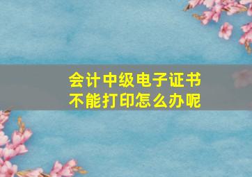 会计中级电子证书不能打印怎么办呢