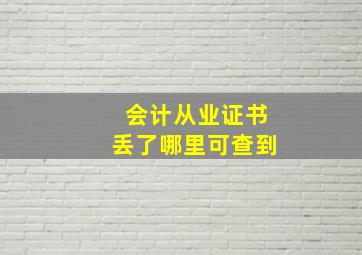 会计从业证书丢了哪里可查到