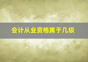 会计从业资格属于几级