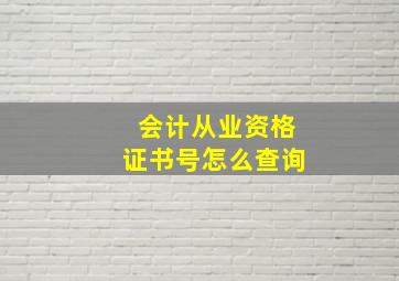 会计从业资格证书号怎么查询