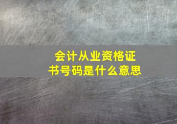 会计从业资格证书号码是什么意思