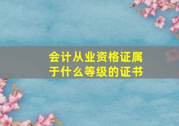 会计从业资格证属于什么等级的证书