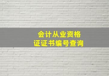 会计从业资格证证书编号查询