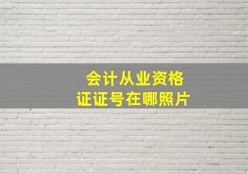 会计从业资格证证号在哪照片