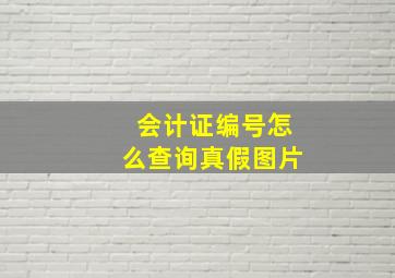 会计证编号怎么查询真假图片