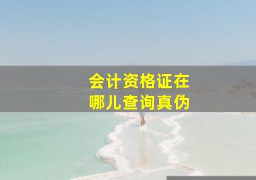 会计资格证在哪儿查询真伪