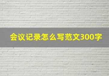 会议记录怎么写范文300字