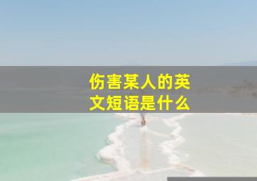 伤害某人的英文短语是什么