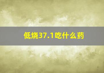 低烧37.1吃什么药