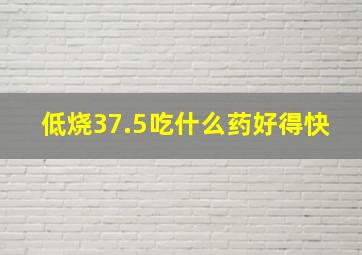 低烧37.5吃什么药好得快