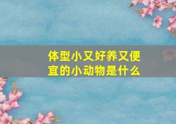 体型小又好养又便宜的小动物是什么