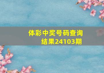 体彩中奖号码查询结果24103期