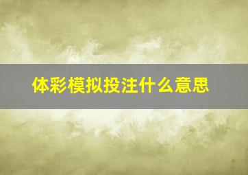 体彩模拟投注什么意思