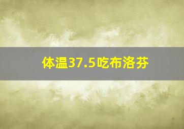 体温37.5吃布洛芬