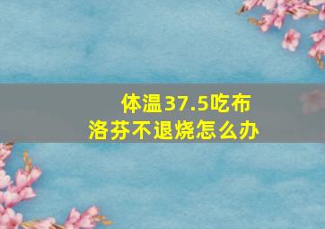 体温37.5吃布洛芬不退烧怎么办