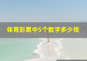 体育彩票中5个数字多少钱