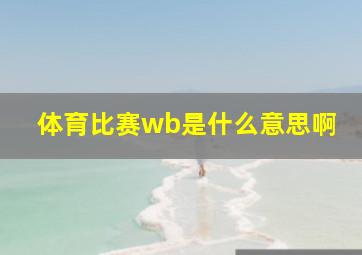 体育比赛wb是什么意思啊