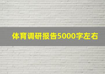 体育调研报告5000字左右