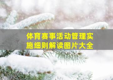 体育赛事活动管理实施细则解读图片大全