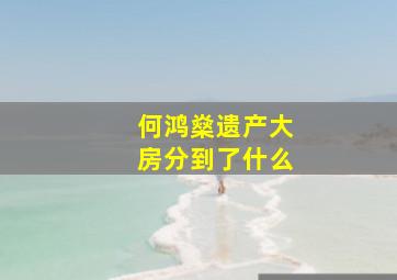 何鸿燊遗产大房分到了什么