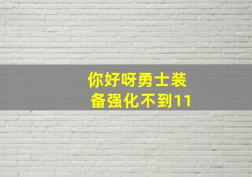 你好呀勇士装备强化不到11