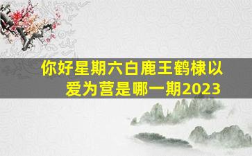 你好星期六白鹿王鹤棣以爱为营是哪一期2023