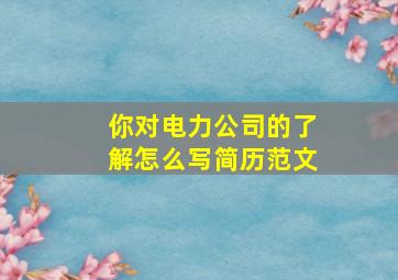 你对电力公司的了解怎么写简历范文