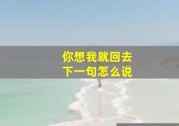 你想我就回去下一句怎么说