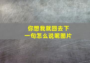 你想我就回去下一句怎么说呢图片