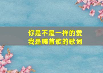 你是不是一样的爱我是哪首歌的歌词