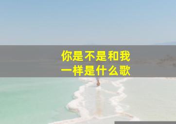 你是不是和我一样是什么歌