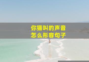 你猫叫的声音怎么形容句子