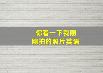 你看一下我刚刚拍的照片英语