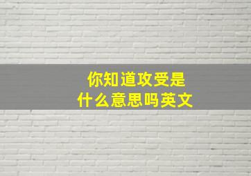 你知道攻受是什么意思吗英文