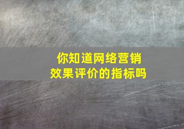 你知道网络营销效果评价的指标吗