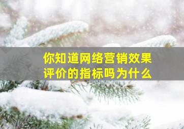 你知道网络营销效果评价的指标吗为什么