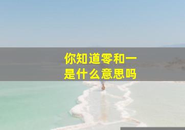 你知道零和一是什么意思吗